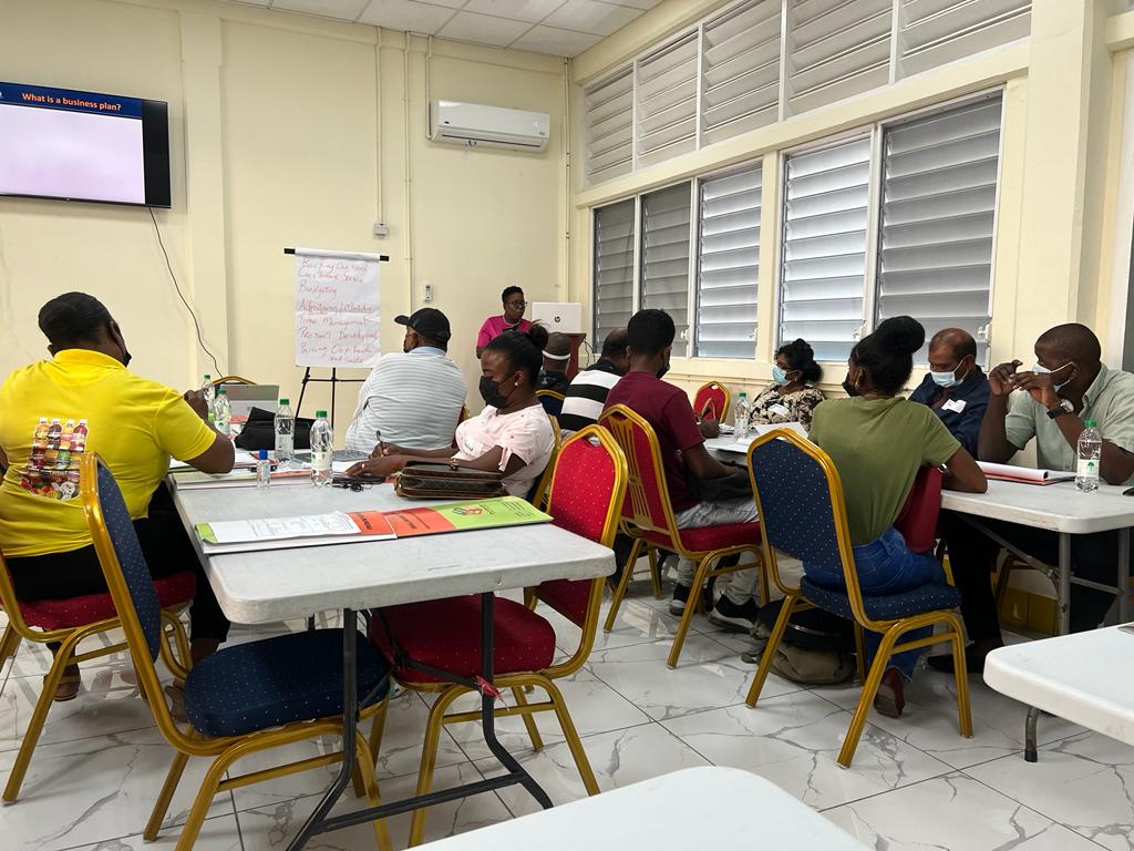Cerulean Inc ILO Training