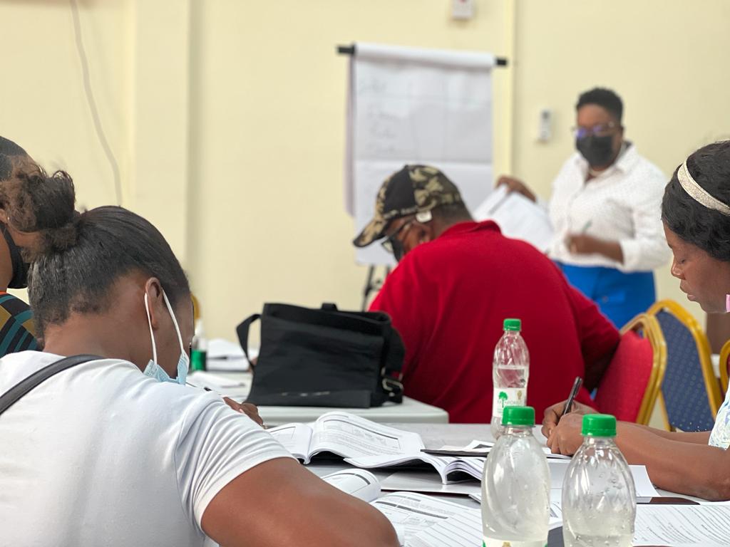 Cerulean Inc Training Workshop