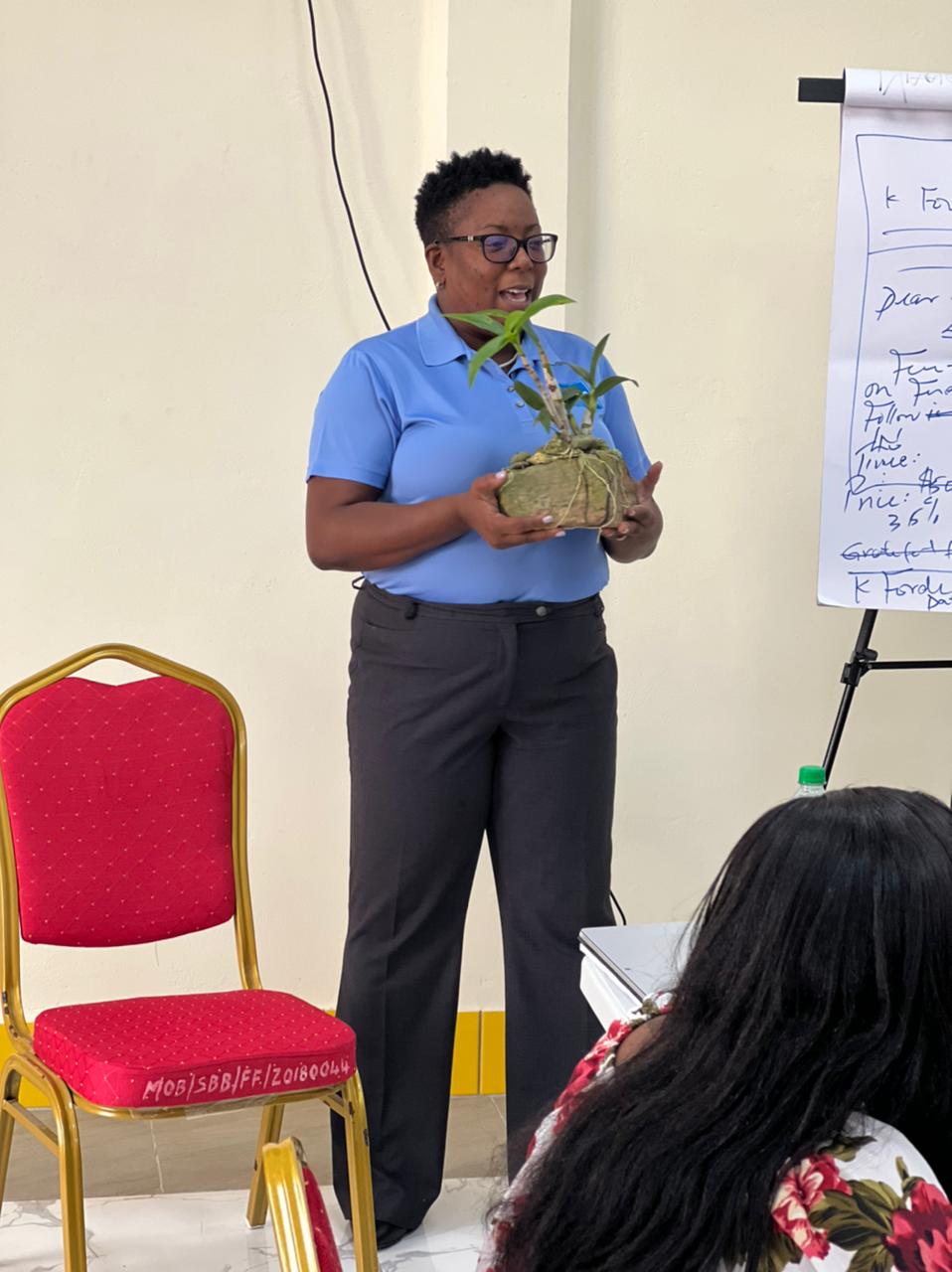 Cerulean ILO Training Certificates